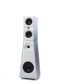 Mon Acoustic VC1 + VC2 | Acoustic Invader 2x Felon +  Pre-amp | EverSolo DMP-A10 KIT