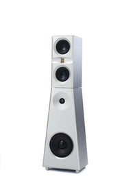 Mon Acoustic VC1 + VC2 | Acoustic Invader 2x Felon +  Pre-amp | EverSolo DMP-A10 KIT