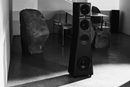 Mon Acoustic VC1 + VC2 | Acoustic Invader 2x Felon +  Pre-amp | EverSolo DMP-A10 KIT