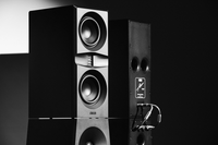 Mon Acoustic VC1 + VC2 | Acoustic Invader 2x Felon +  Pre-amp | EverSolo DMP-A10 KIT