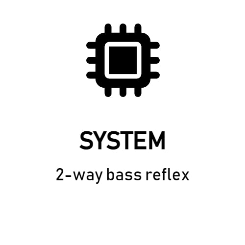 VoiceVictory Premium – 2-Way Bass Reflex Loudspeaker