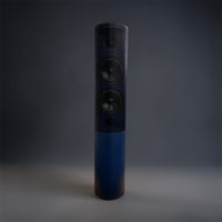 VoiceVicytory POP - Blue