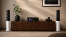 Audio equipment on a wooden console with speakers and a plant in a room.