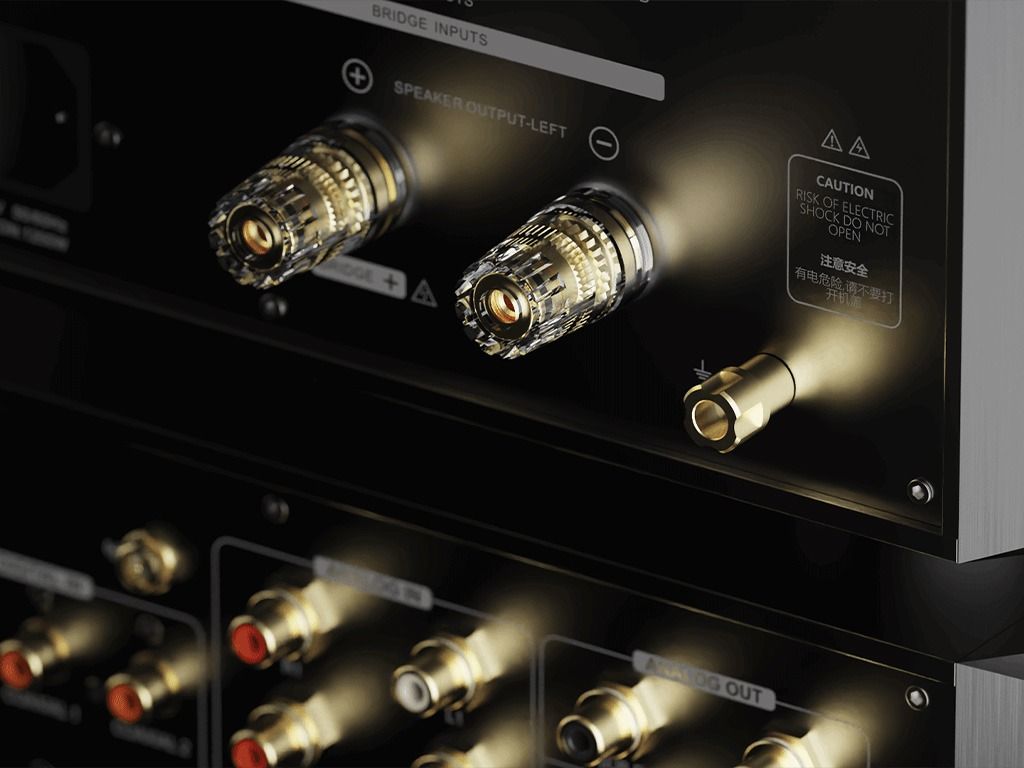 Eversolo | AMP-F10 | stereo eindversterker | Zwart