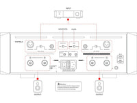 Eversolo | AMP-F10 | stereo eindversterker | Zwart