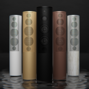 VoiceVictory Supreme | Hypex 2x Mono Block | EverSolo BMP-A06 Master Edition