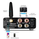 Mini TPA3116-G3 | Bluetooth 5.0 | Hi-Fi Stereo Amplifier with Treble and Bass